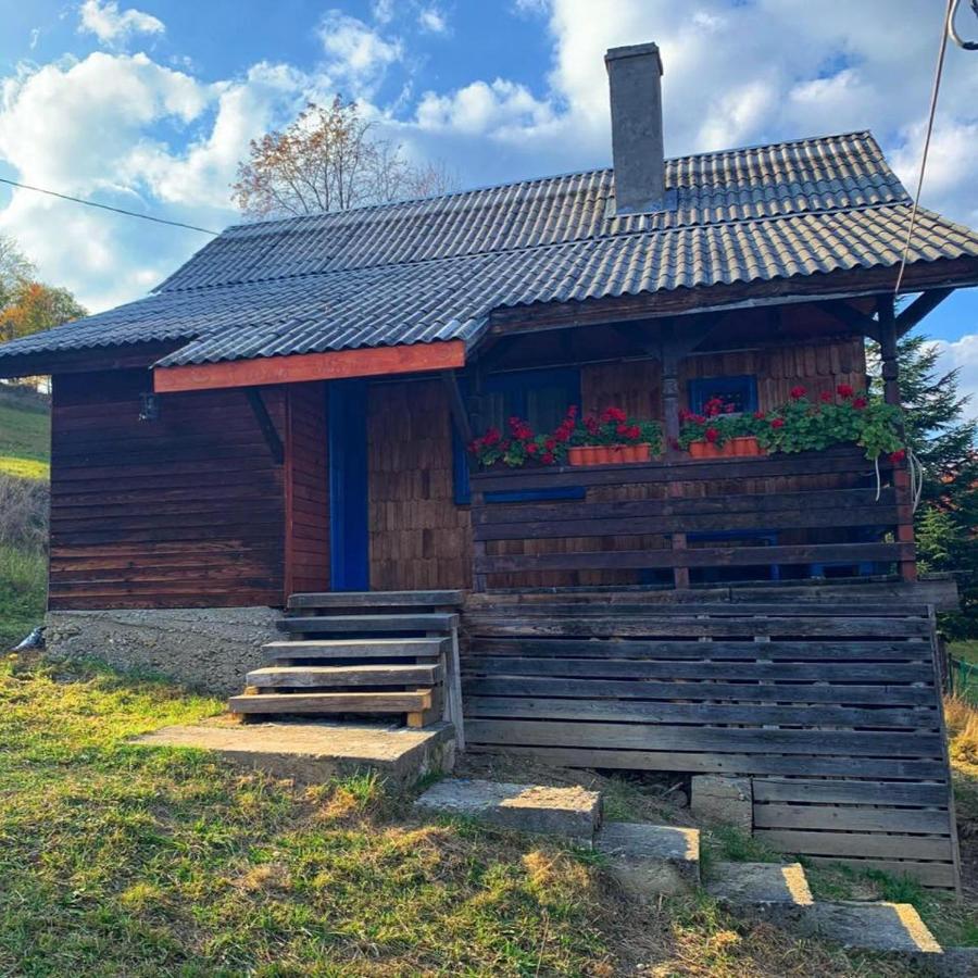 Villa Casuta Mariei Borşa Exterior foto